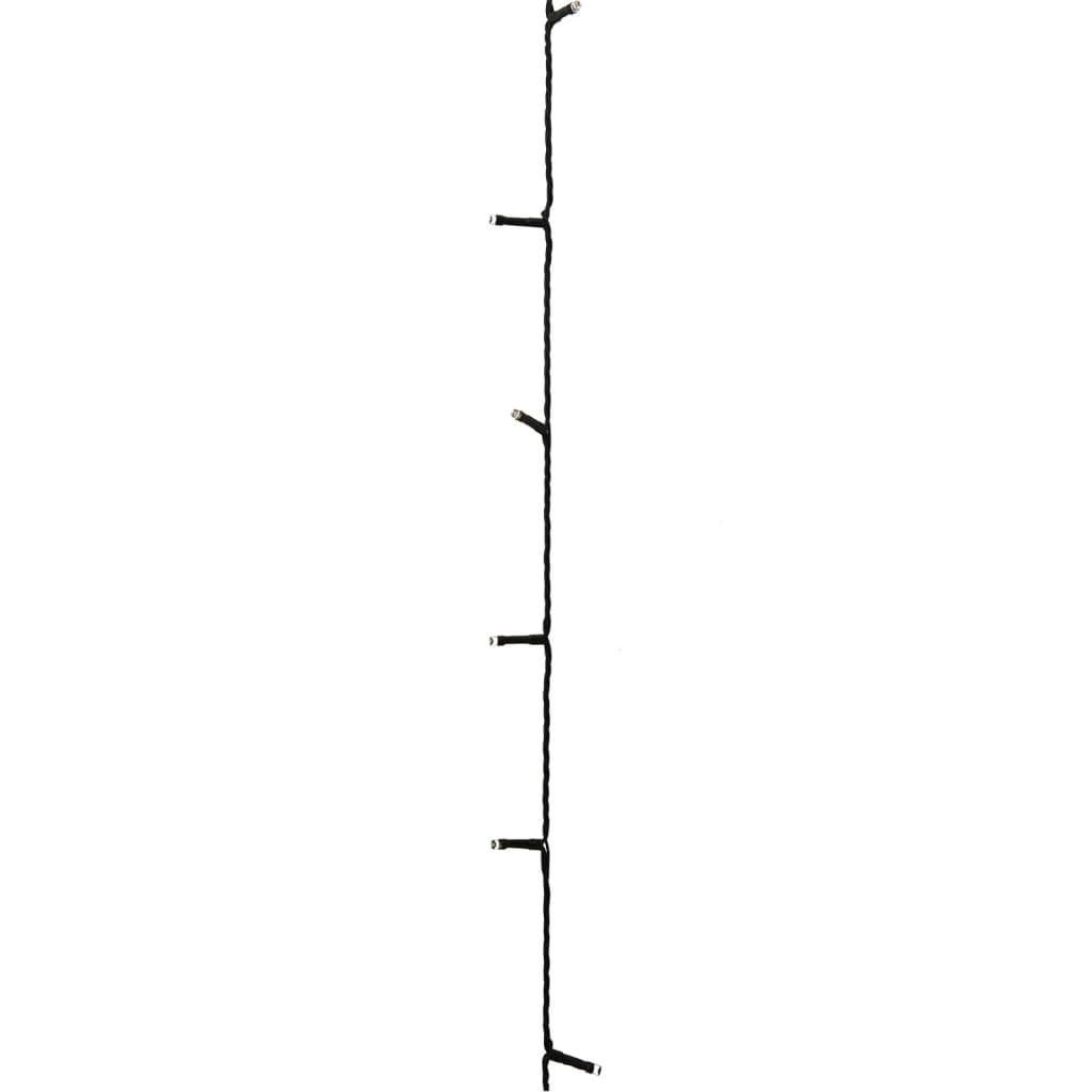 73955859