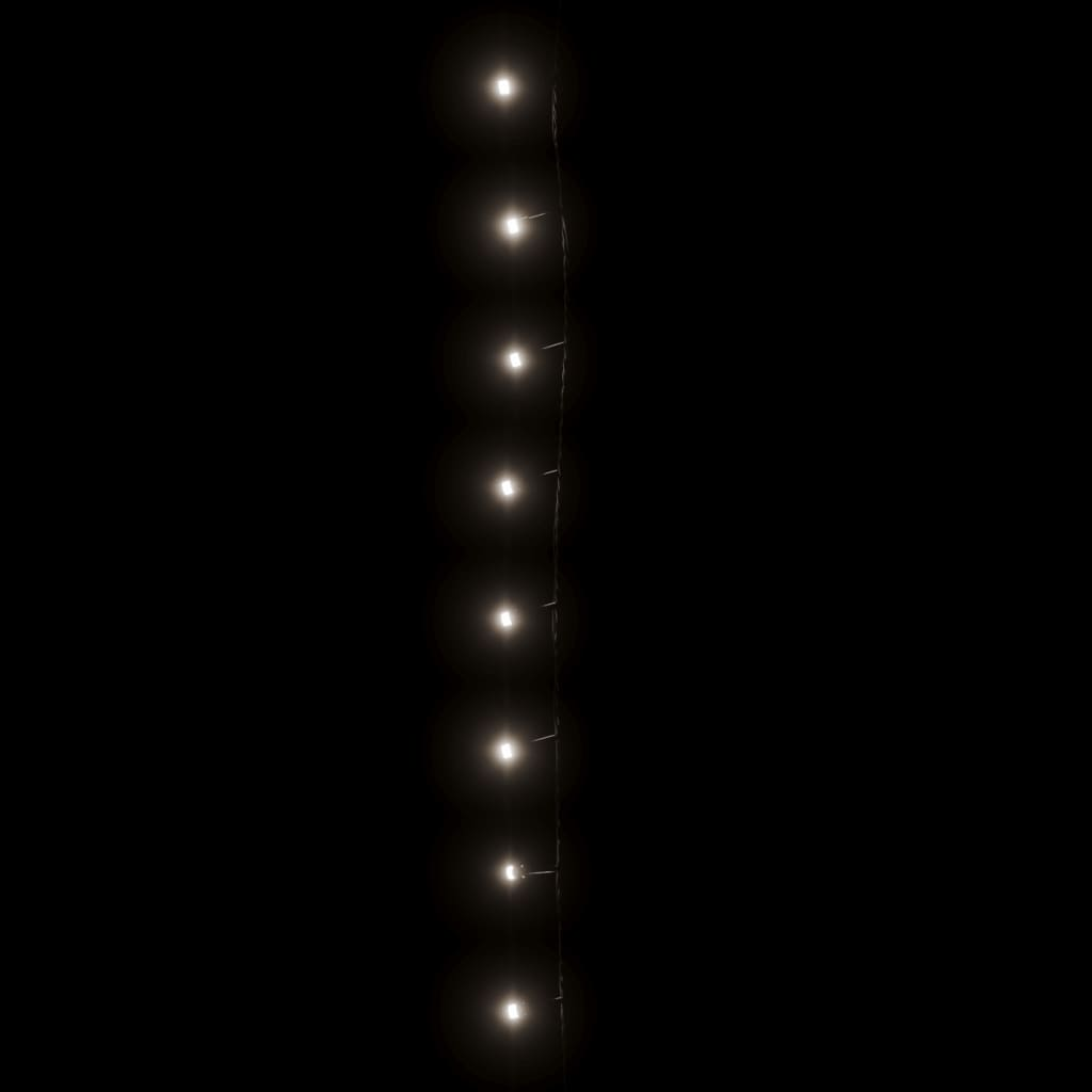 73955861